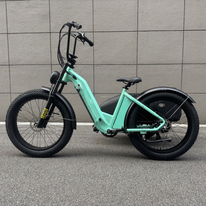 TerraVolt Explorer X-Side E-Bike